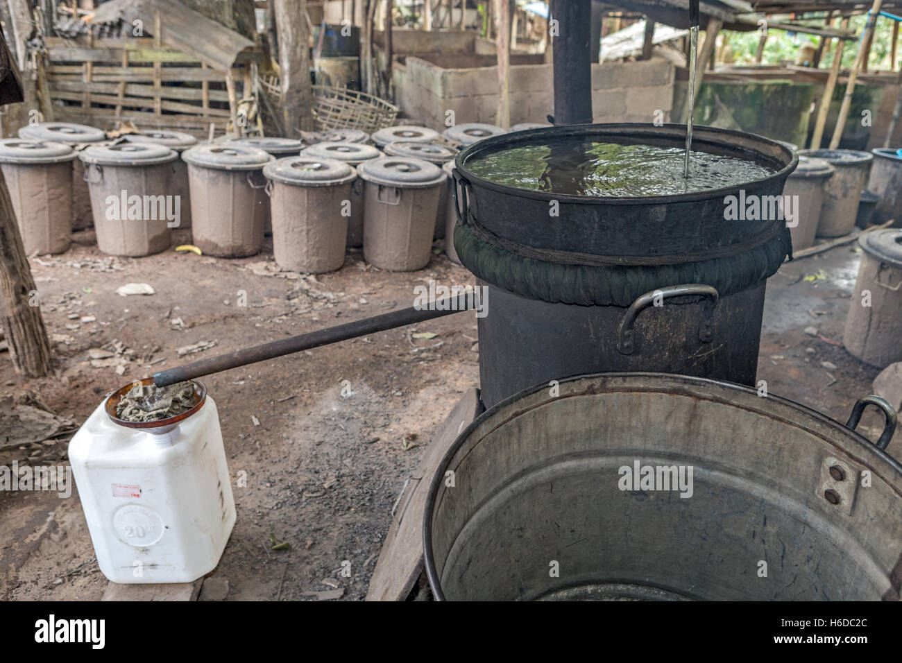 Lao-Lao, distillerie de whisky, fermentation du riz, province d'Oudomxay, Laos Banque D'Images