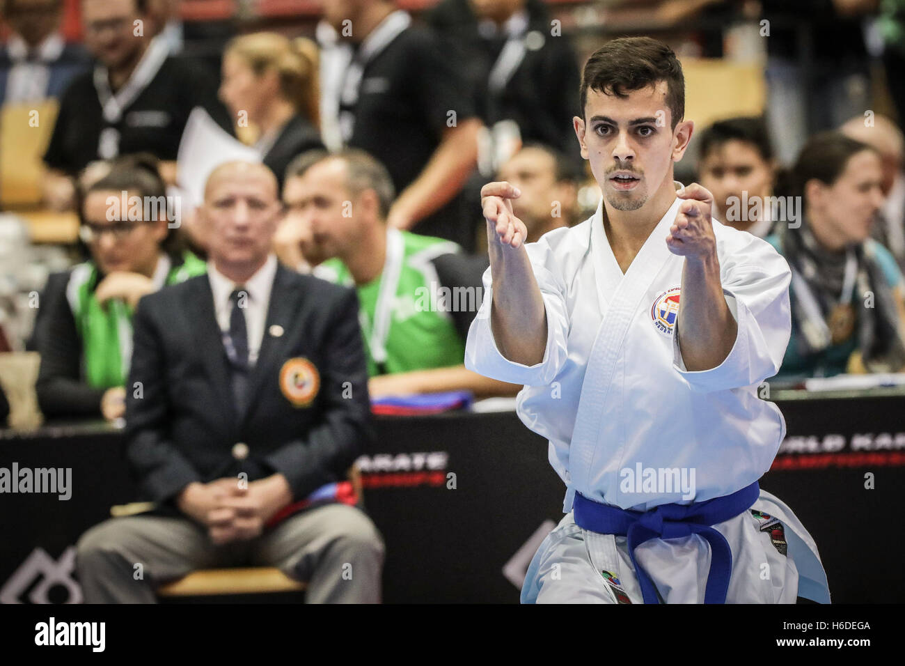 Linz, Autriche. 26, octobre 2016. Wouter Deijl (Pays-Bas), Championnat du Monde de Karaté WKF : Jan de Wild Photography / Alamy Live News Banque D'Images