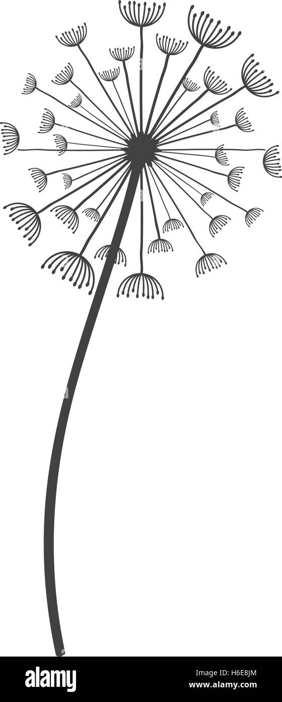 Graines de pissenlit icône décoration Illustration de Vecteur