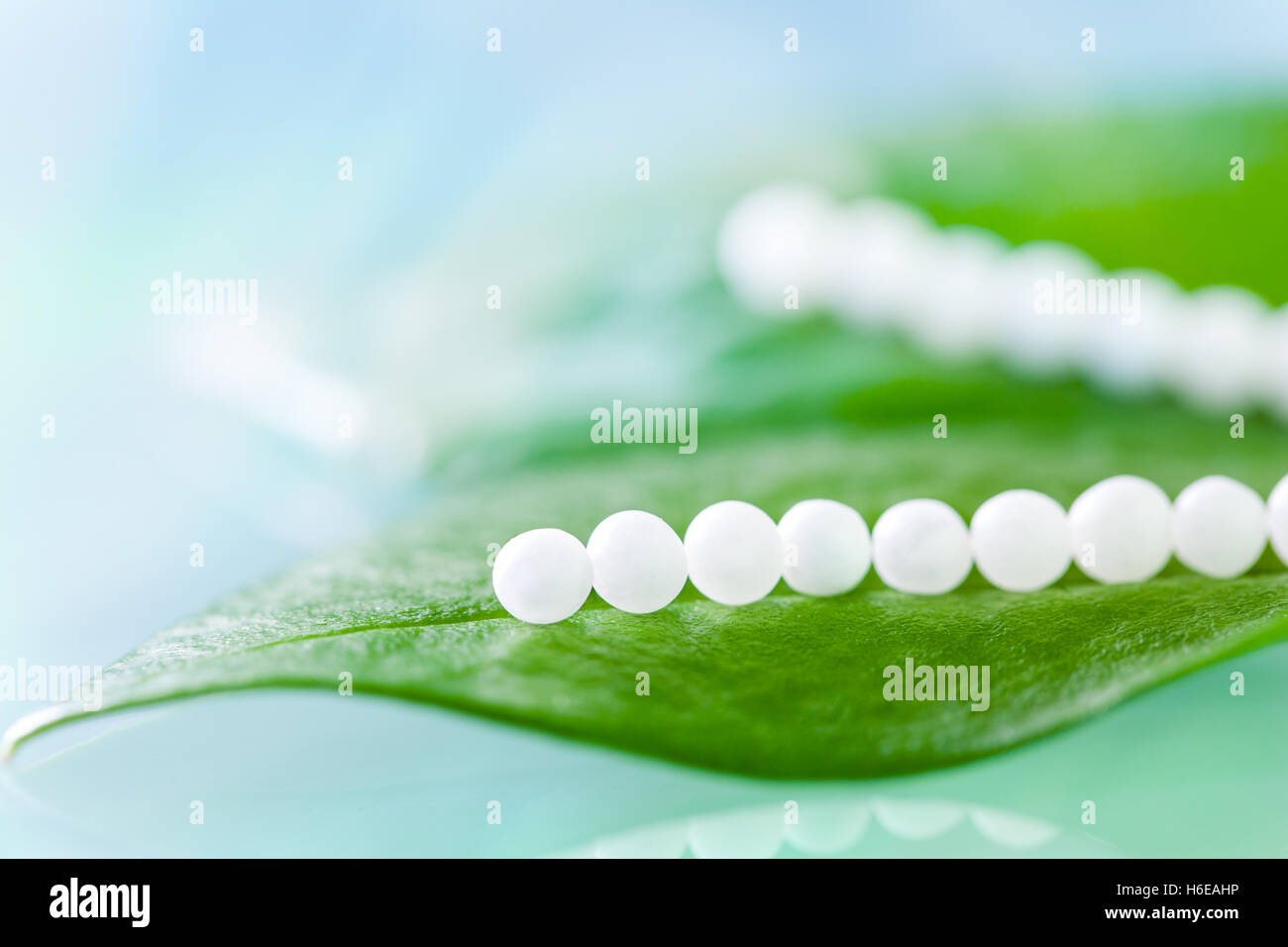 Extreme close up de plusieurs pilules homéopathiques sur feuilles vertes contre fond bleu. Banque D'Images