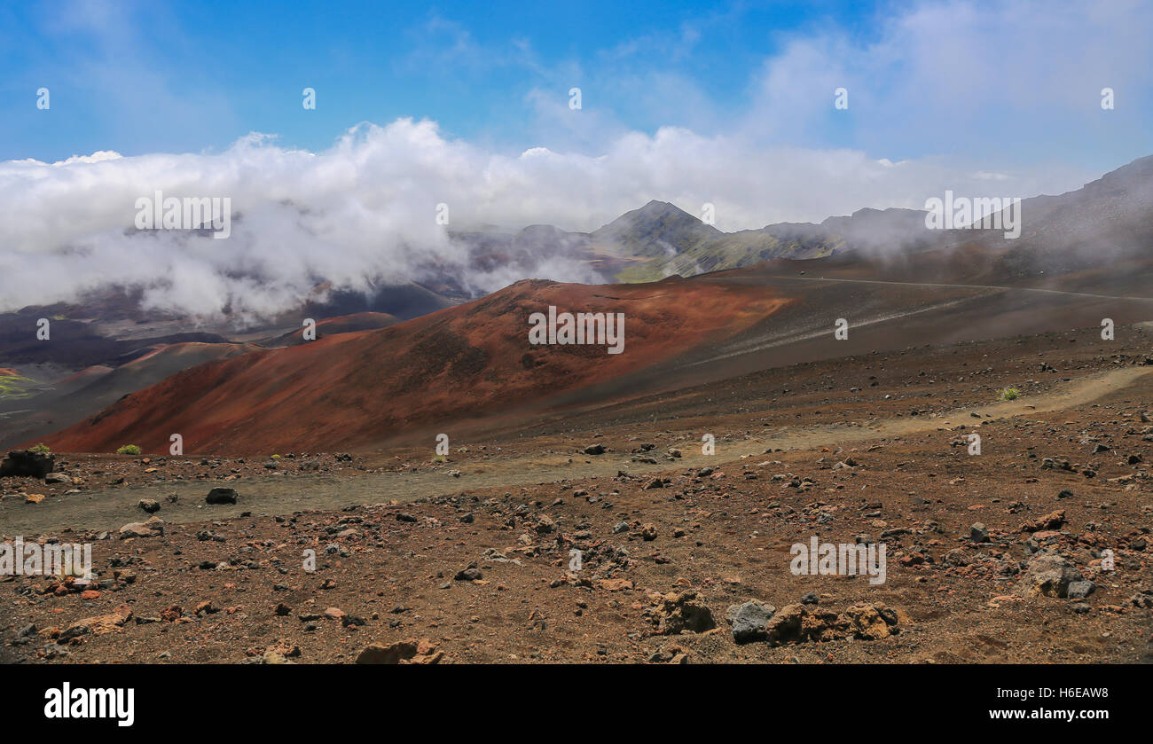 Matin images de la gravure de brouillard dans le cratère de Haleakala colorés dans le Parc National de Haleakala, Maui, Hawaii Banque D'Images