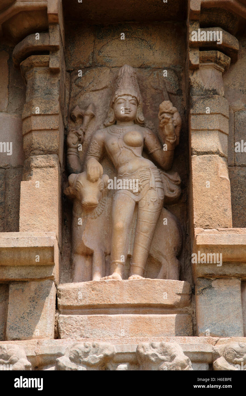 Ardhanarisvara à côté de sa bulle, niche sur le mur sud du Temple de Brihadisvara, mukhamandapa, Gangaikondacholapuram, Tami Banque D'Images