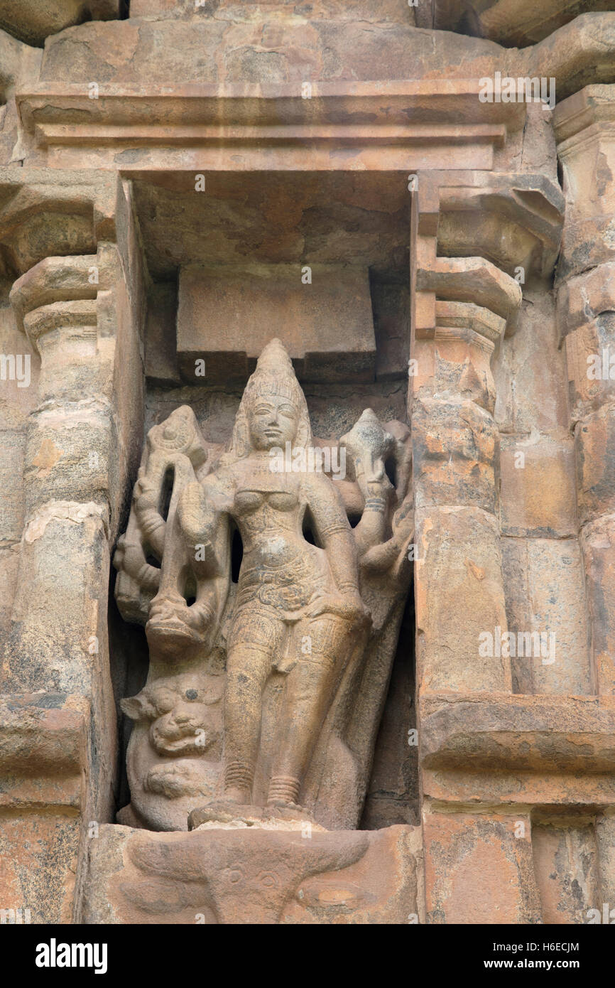 Huit armés mahishasuramardini, lion debout avec son créneau sur le mur nord, temple de Brihadisvara, gangaikondacholapuram, t Banque D'Images