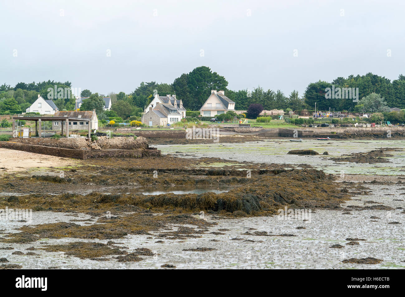 Paysage autour de Larmor-Baden, une commune française, située dans le département de la Bretagne, dans le nord-ouest de la France. Banque D'Images