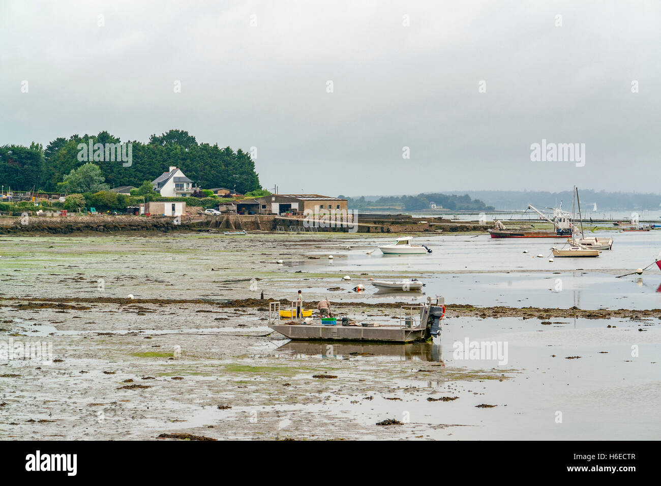 Paysage autour de Larmor-Baden, une commune française, située dans le département de la Bretagne, dans le nord-ouest de la France. Banque D'Images