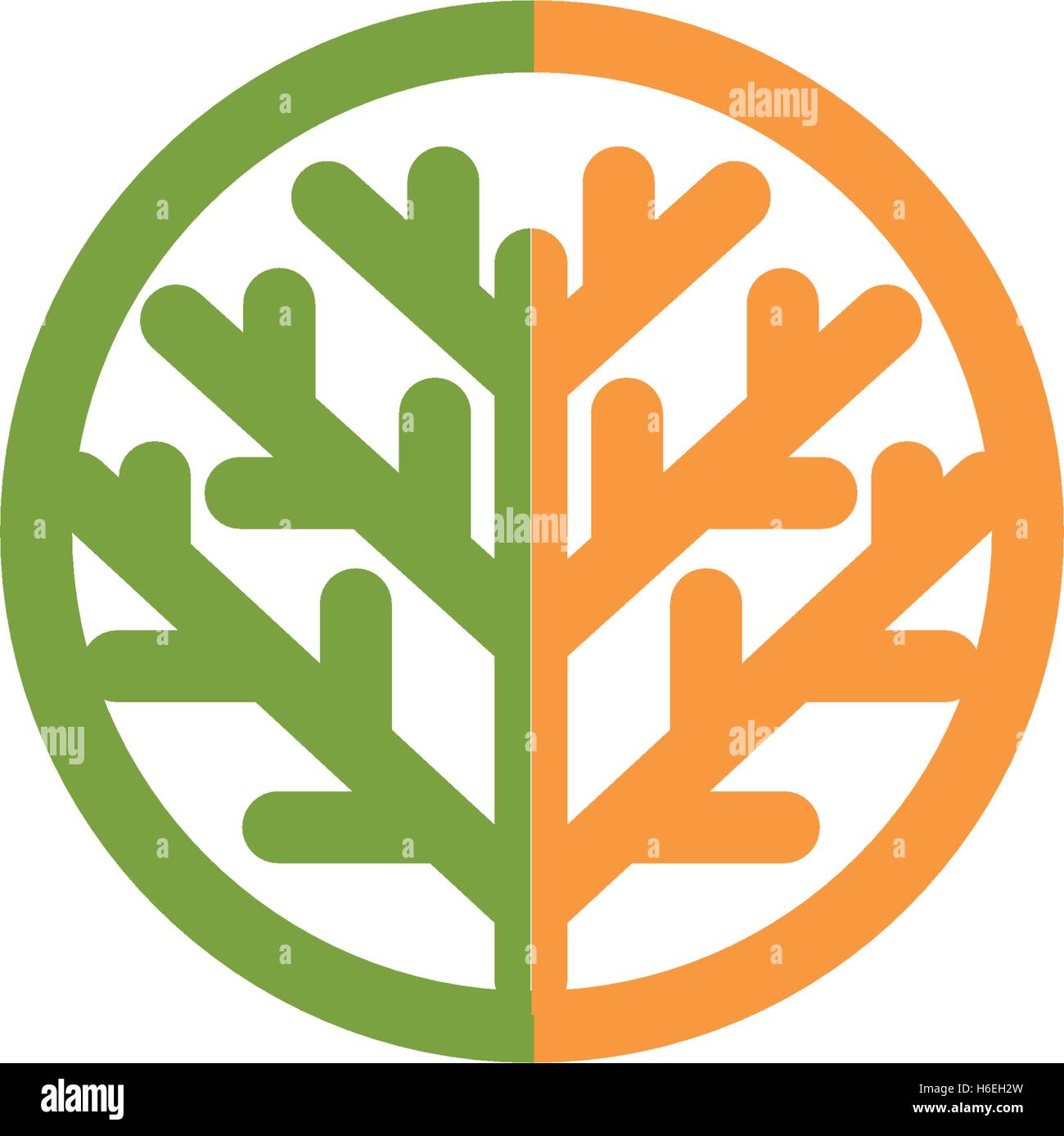 Résumé isolé vert, l'orange tree logo. Logotype de l'élément naturel. Les feuilles et l'icône de réseau. Parc ou la forêt. Symbole de l'environnement. Vector illustration de l'arbre. Illustration de Vecteur