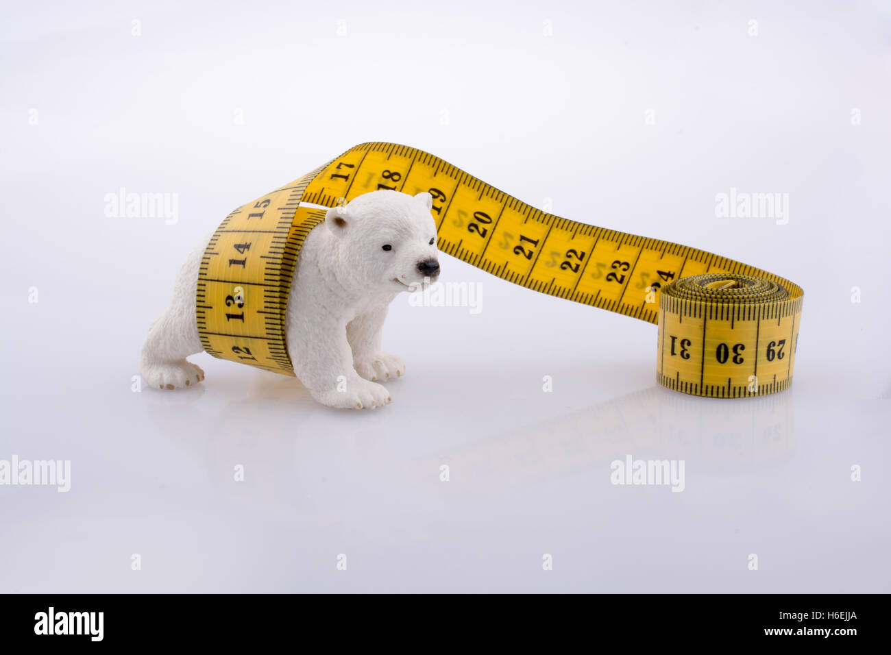 L'ours polaire entouré par un ruban à mesurer sur un fond blanc Banque D'Images