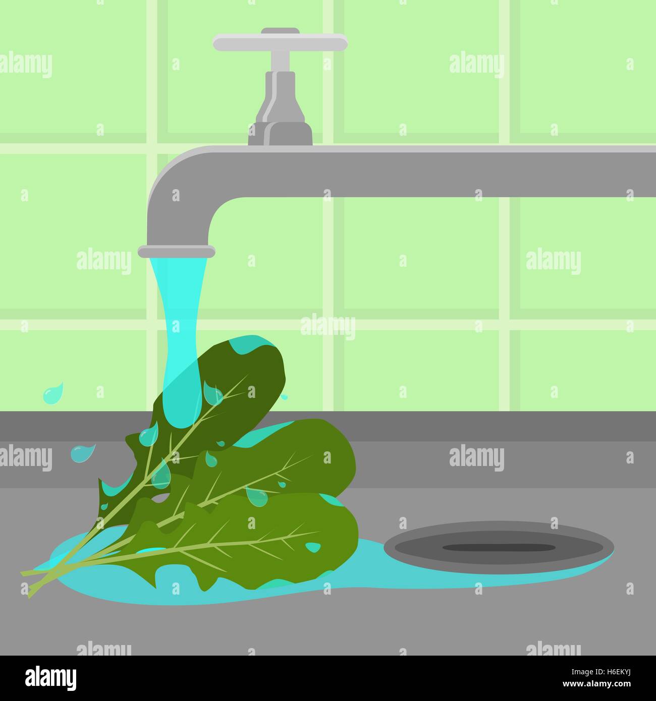 L'arugula nettoyé et lavé dans un évier dans une cuisine. L'eau courante. Illustration de Vecteur