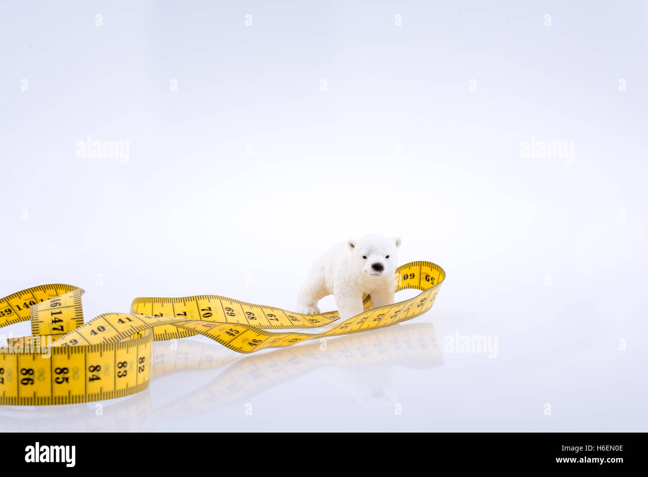 L'ours polaire entouré par un ruban à mesurer sur un fond blanc Banque D'Images