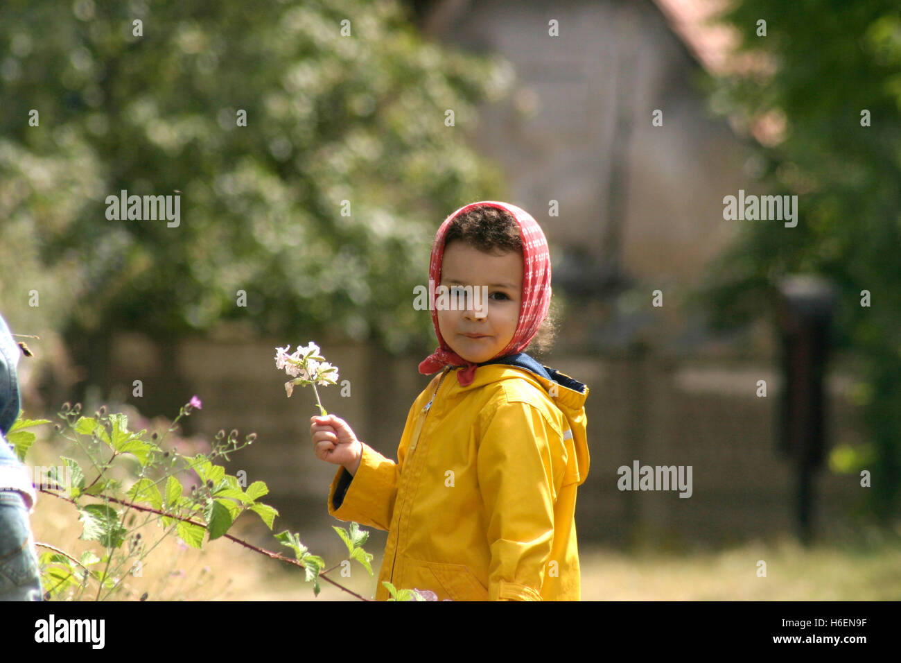 Portrait de petite fille avec capeline rouge à l'extérieur sur un champ, avec une fleur dans la main Banque D'Images