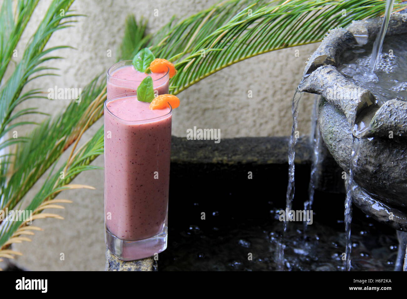 Deux smoothies aux fruits froids glacés garnis de menthe et d'oranges mandarines, placés sur le bord de la fontaine d'eau de granit avec des frondes de plantes tropicales sur le côté. Banque D'Images