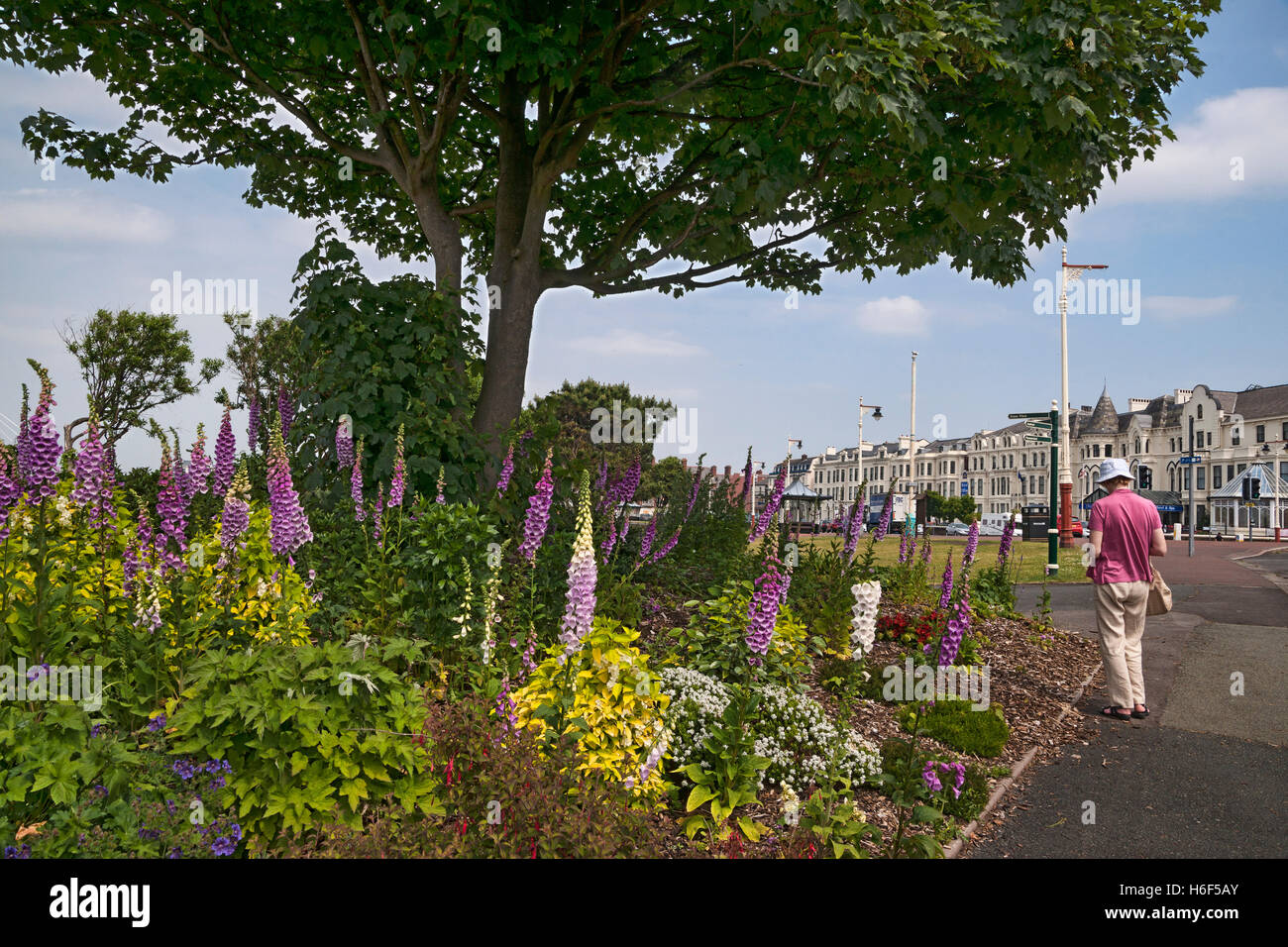 La promenade de Southport Gardens, parade, Lancashire, Angleterre, Royaume-Uni Banque D'Images