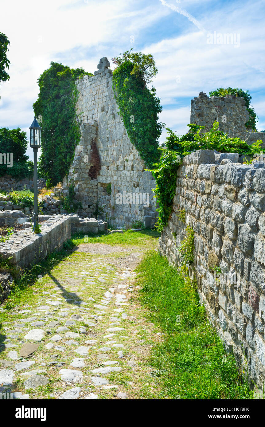La rue avec les vieux murs de pierre, couverte de verdure, Stari Bar, Monténégro. Banque D'Images