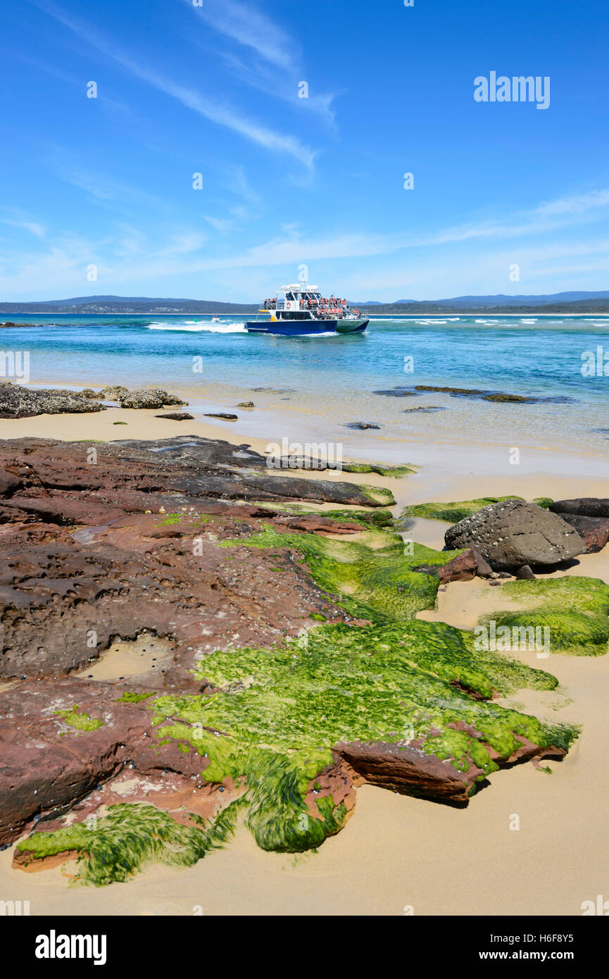 Bateaux d'excursion aux baleines, Merimbula, Sapphire Coast, New South Wales, NSW, Australie Banque D'Images