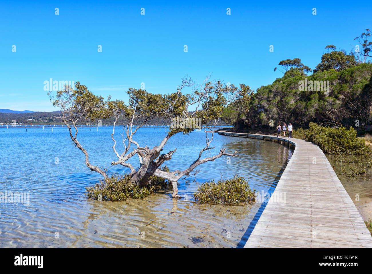Les gens qui marchent sur la promenade le long du lac de Merrimbula, Sapphire Coast, New South Wales, NSW, Australie Banque D'Images