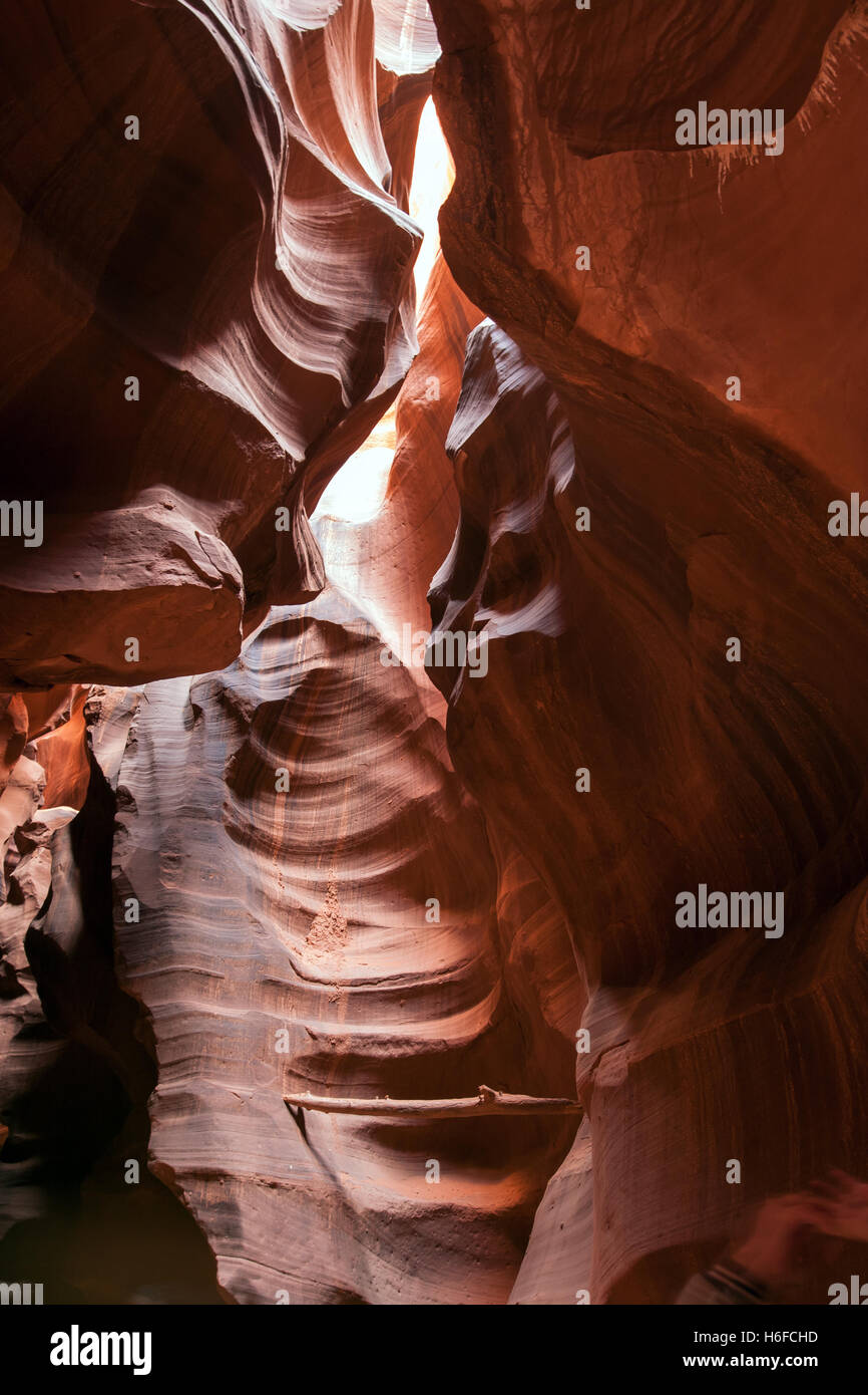 La lumière incroyable et les patrons de grès dans l'Antelope Canyon, Utah Banque D'Images