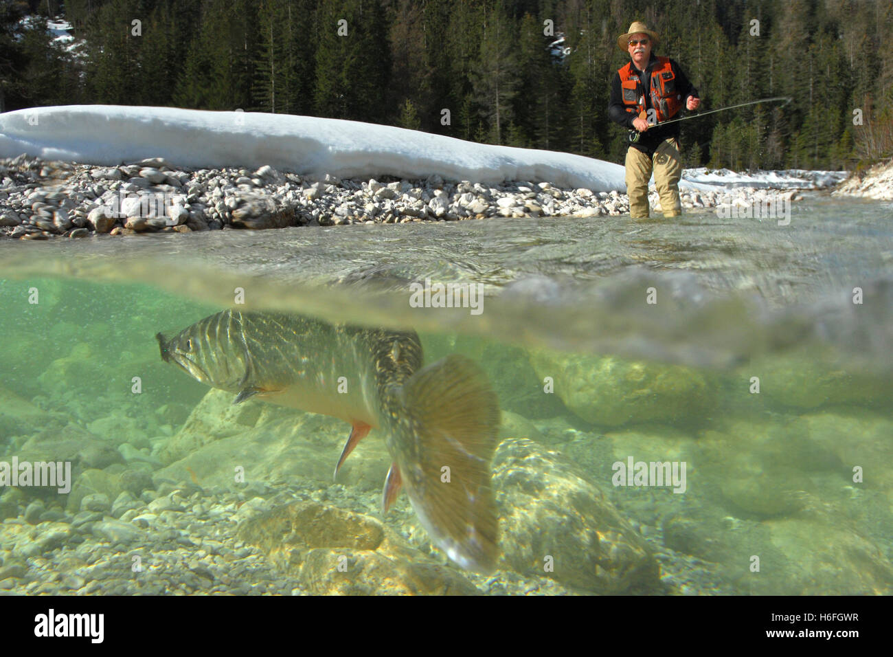 Pêche à la mouche, de la capture d'un char, Leutasch, Tyrol, Autriche Banque D'Images