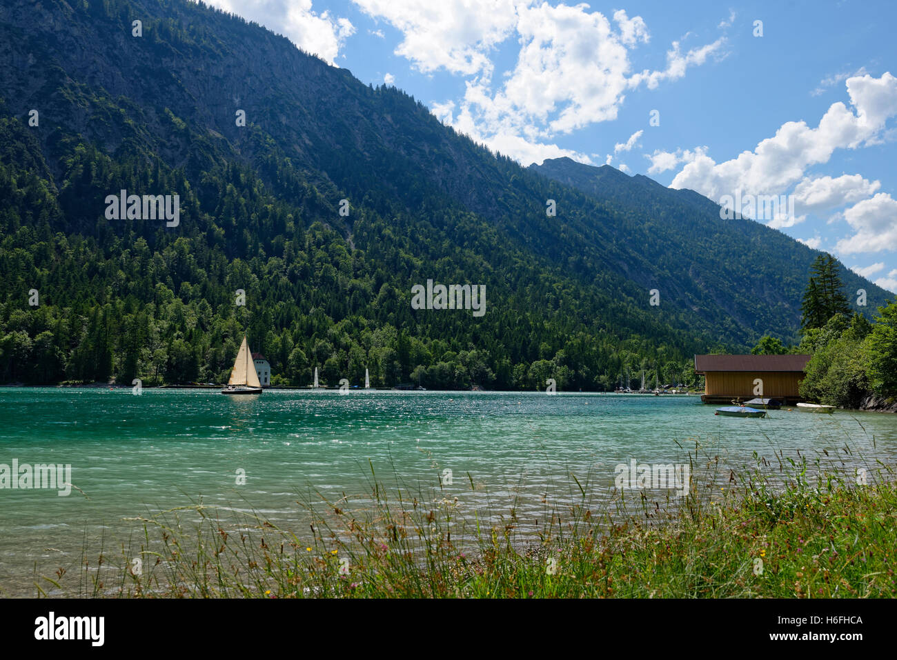 Voilier, lac Plansee, Alpes, Tyrol, Autriche Banque D'Images