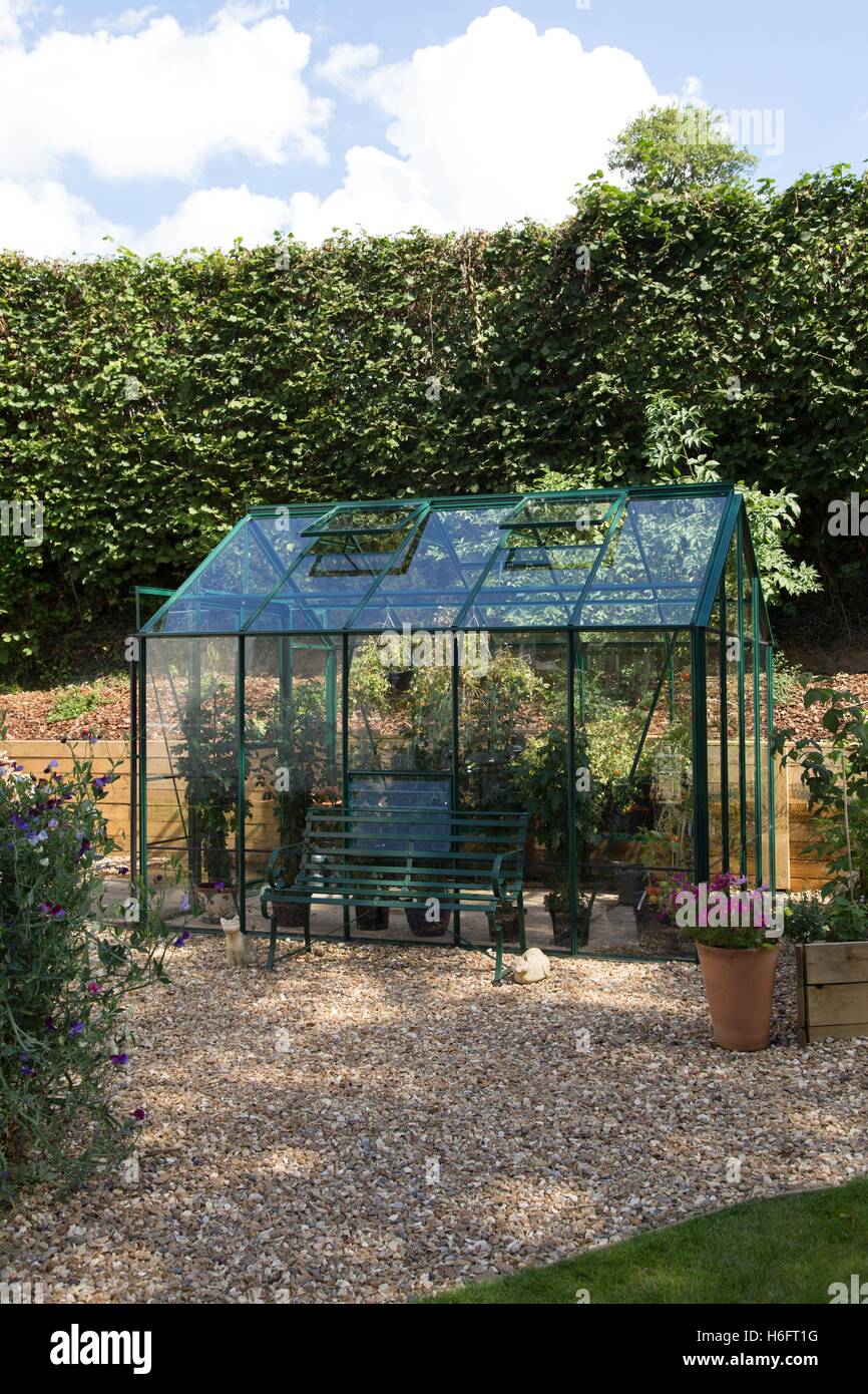 Un livre vert à effet métal, ventilée, fenêtres de toit, portes coulissantes et de sièges de jardin, la culture des tomates et des chrysanthèmes Banque D'Images