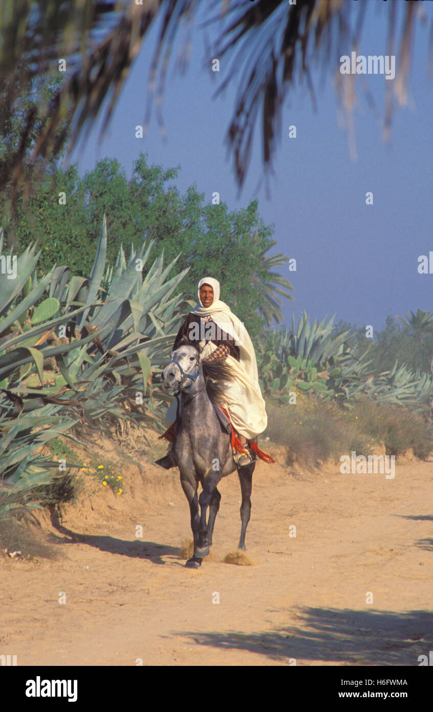 La Tunisie, de l'Île Houmt Souk, rider près de Midoun. Banque D'Images