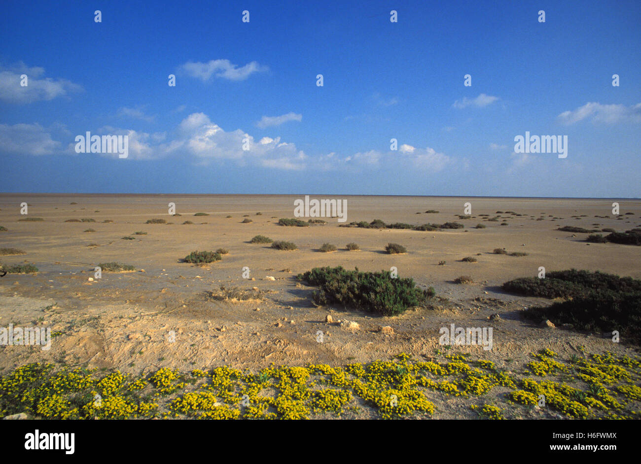La Tunisie, l'île de la côte, entre Houmt Souk et Aghir El-Kantara. Banque D'Images