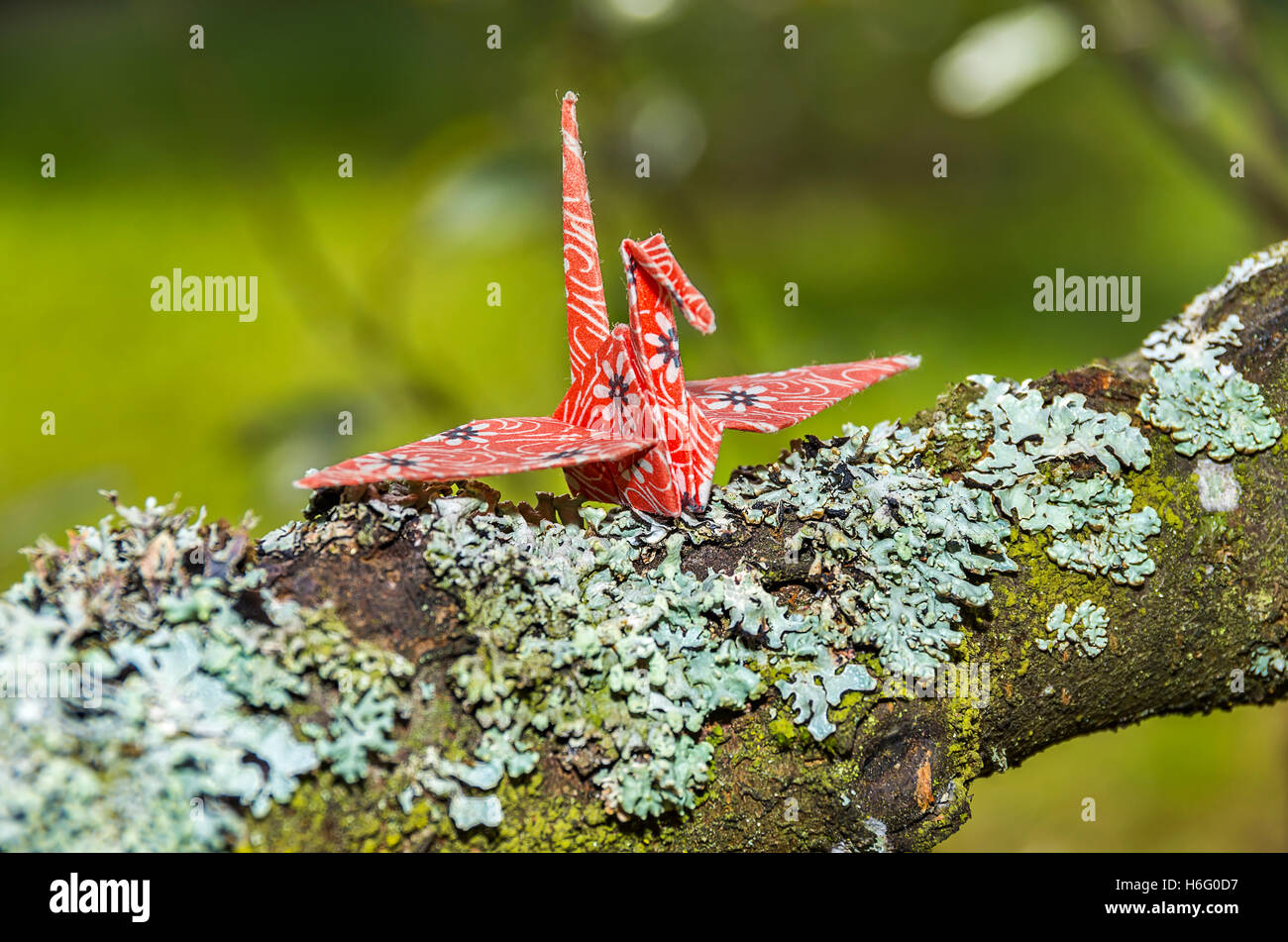 Papier Origami Crane Banque D'Images
