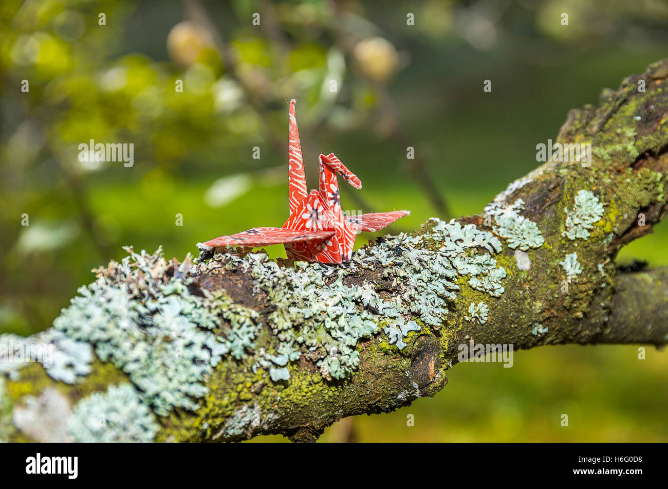 Papier Origami Crane Banque D'Images