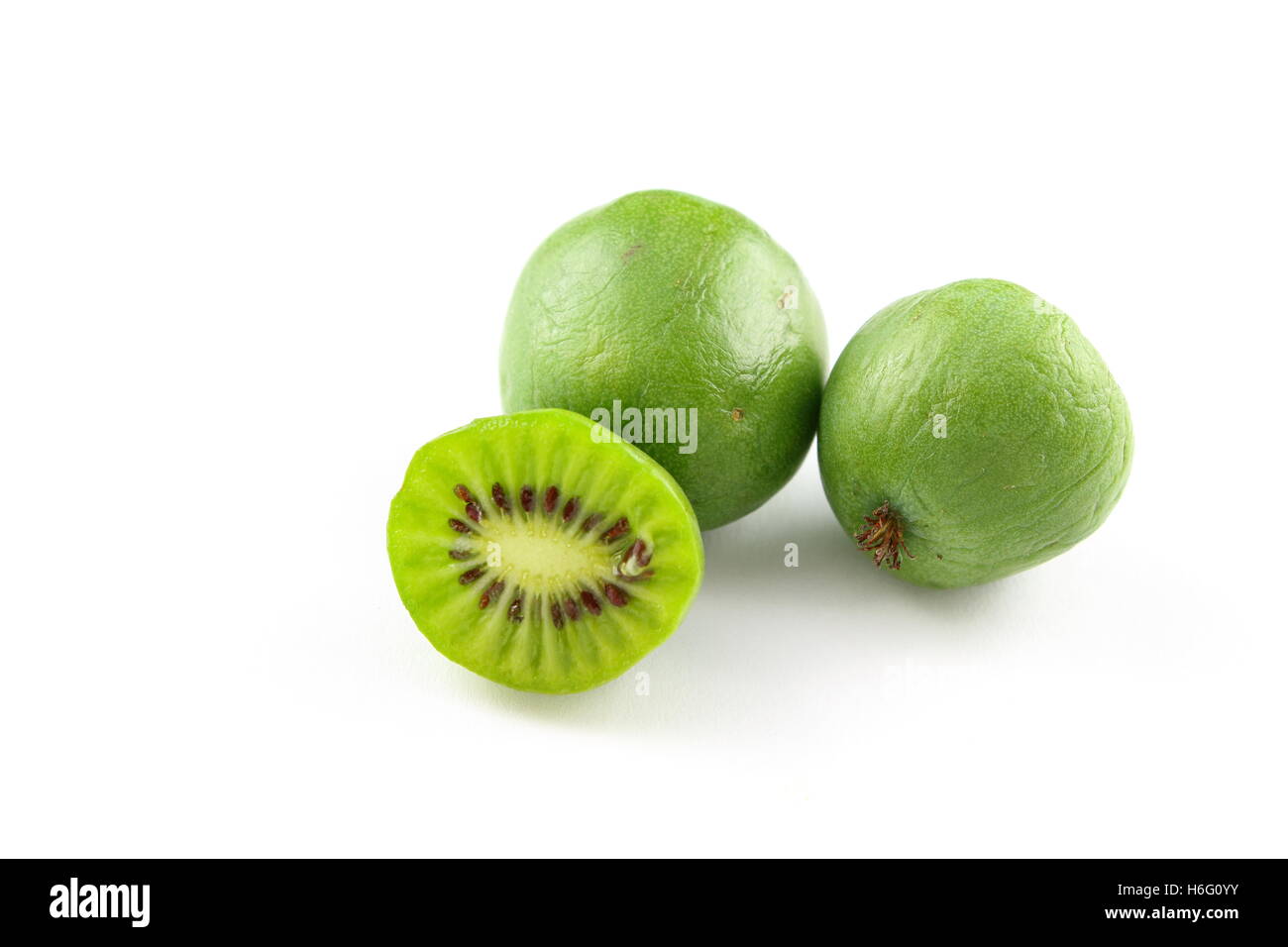 Hardy isolés kiwi fruits Banque D'Images