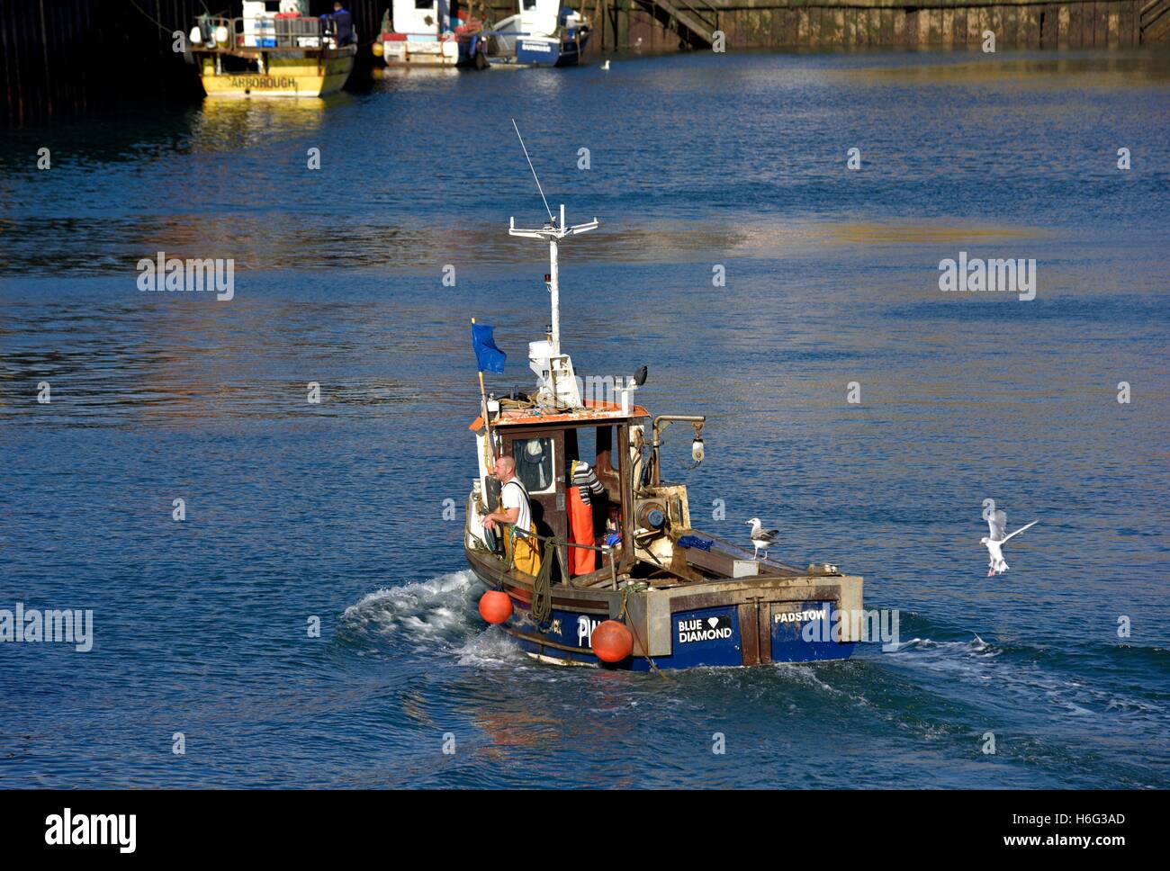 Un petit chalutier de pêche de retour au port de Scarborough, North Yorkshire, Angleterre Royaume-uni Banque D'Images