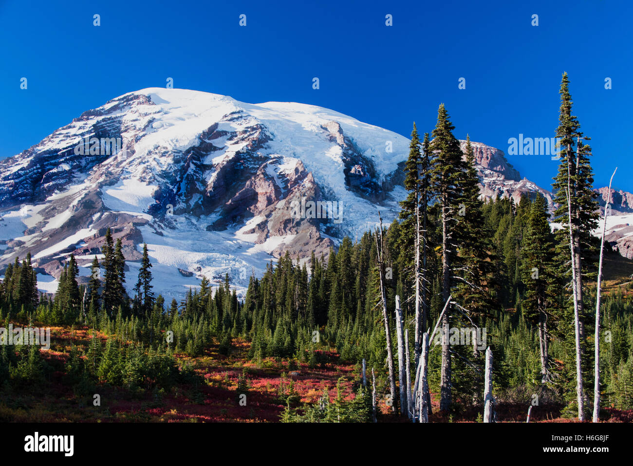 Mt. Rainier National Park, Washington Banque D'Images