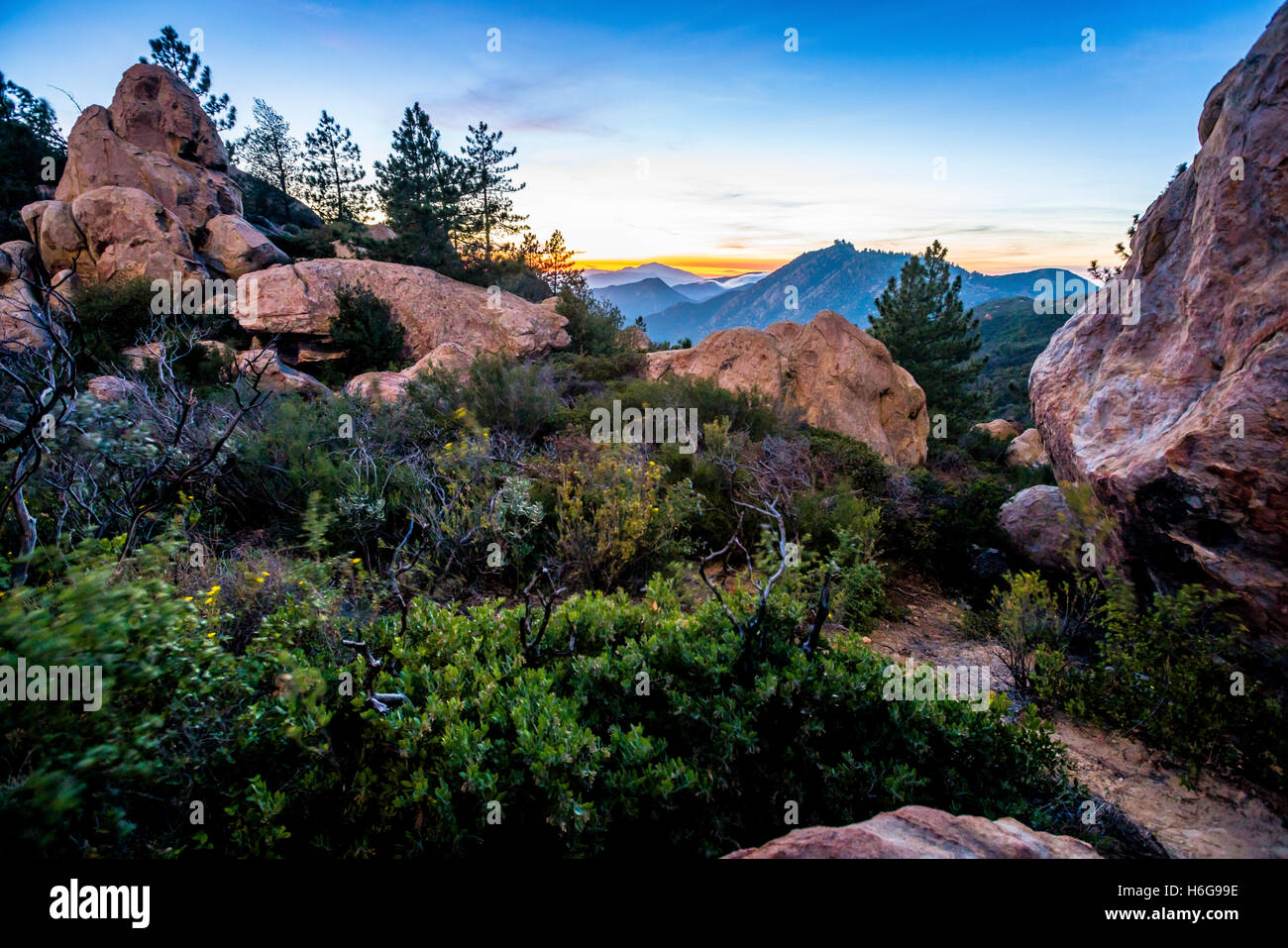 Certains des nombreux rochers dans le jardin de Santa Barbara en Californie, au coucher du soleil. Banque D'Images