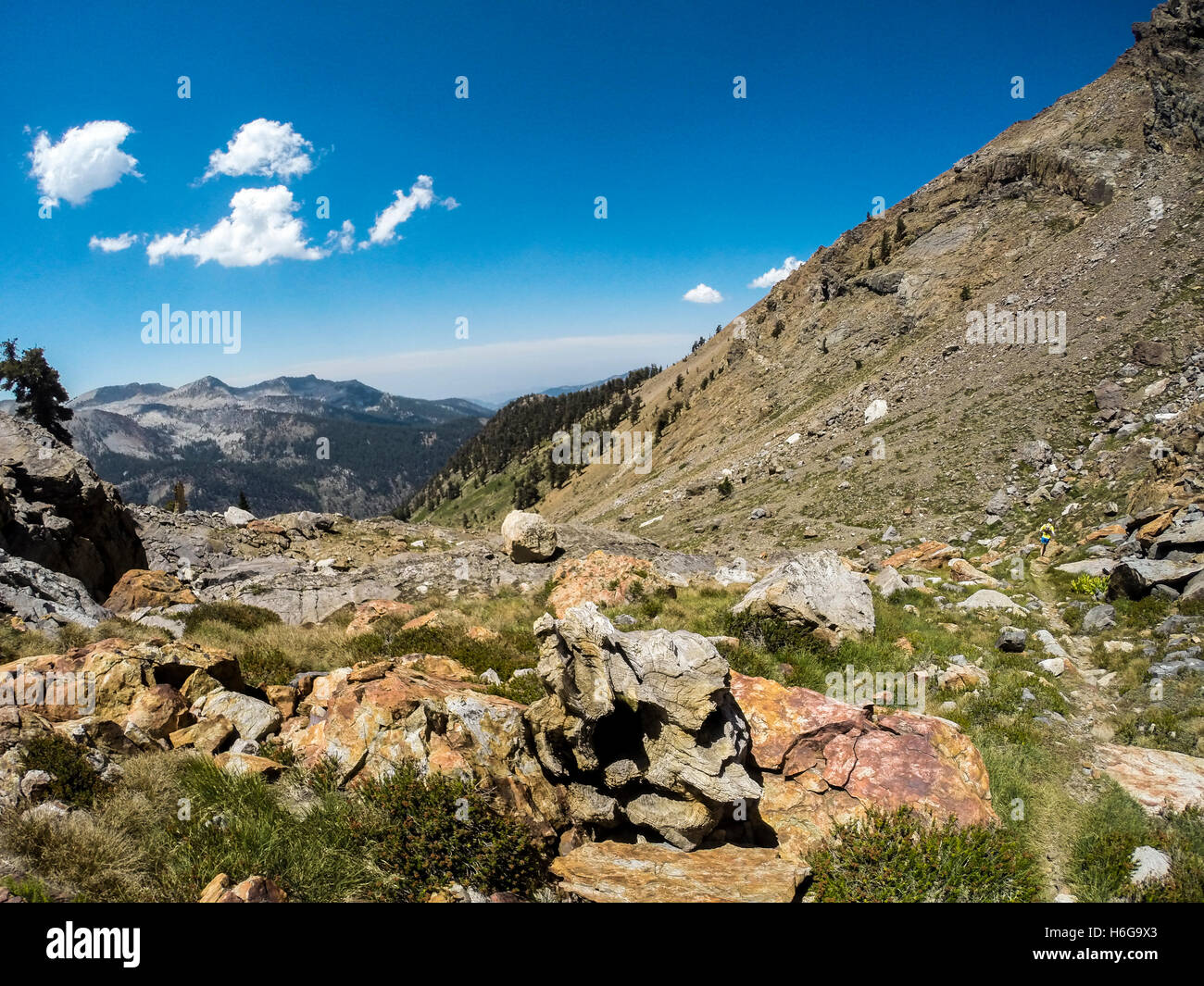 Course en sentier dans les montagnes de la Sierra Nevada près de minéral, Roi de la Californie. Banque D'Images