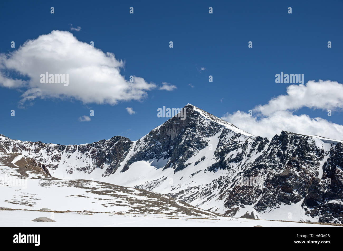 13057 pied grand Mont Dana avec de la neige dans les montagnes de la Sierra Nevada Banque D'Images