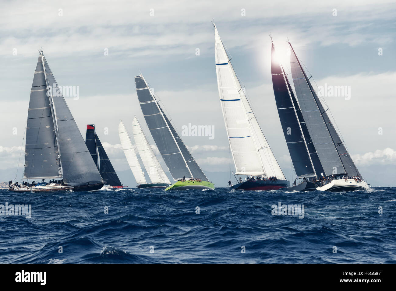 Sial boat race cool tonique Banque D'Images