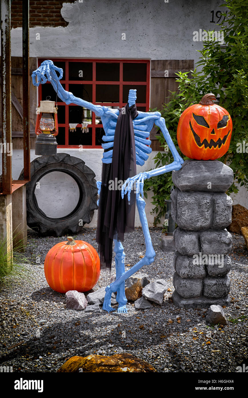 Statue d'Halloween. Citrouille et squelette. Banque D'Images
