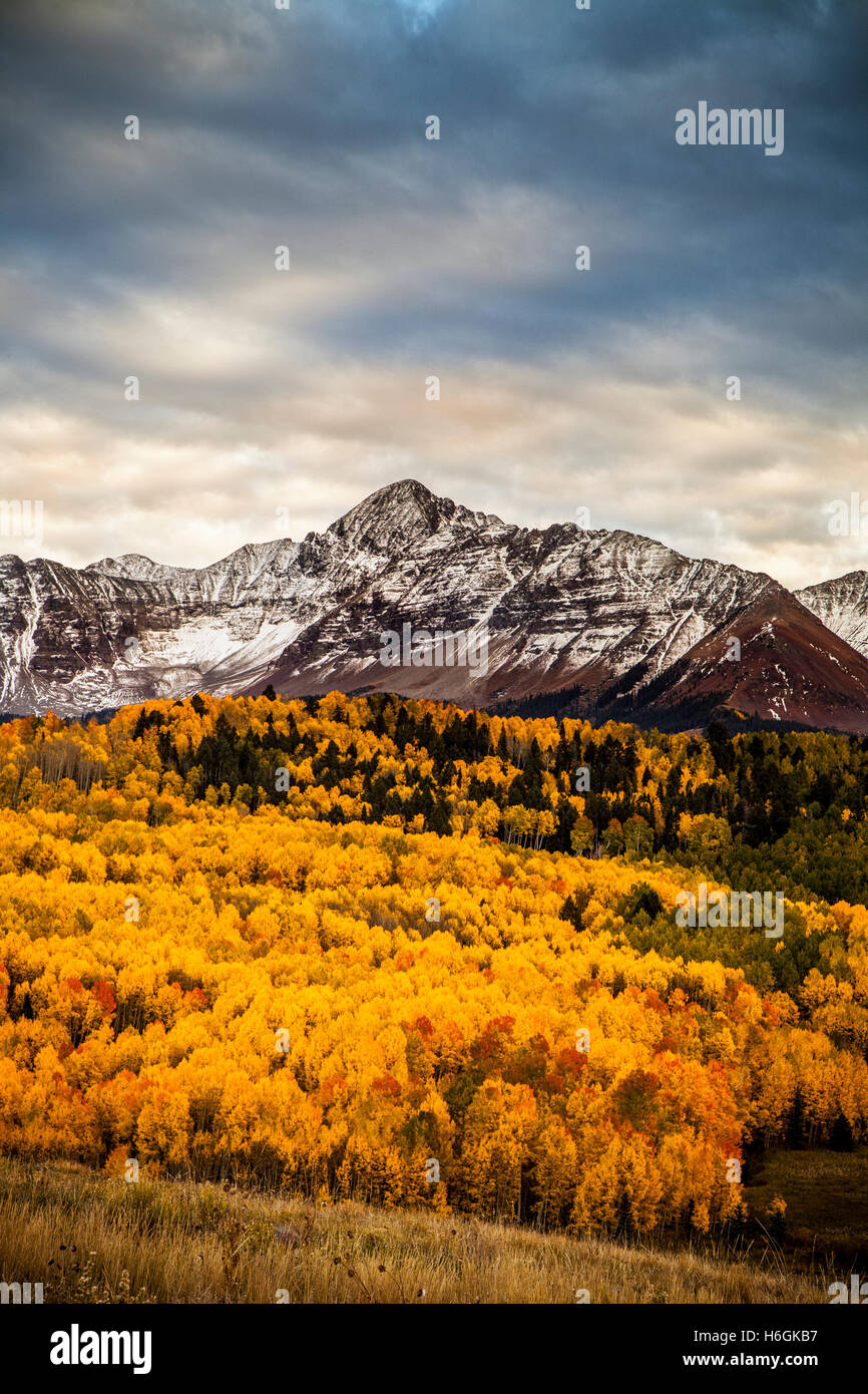 Colorado's Mount Wilson à l'automne Banque D'Images