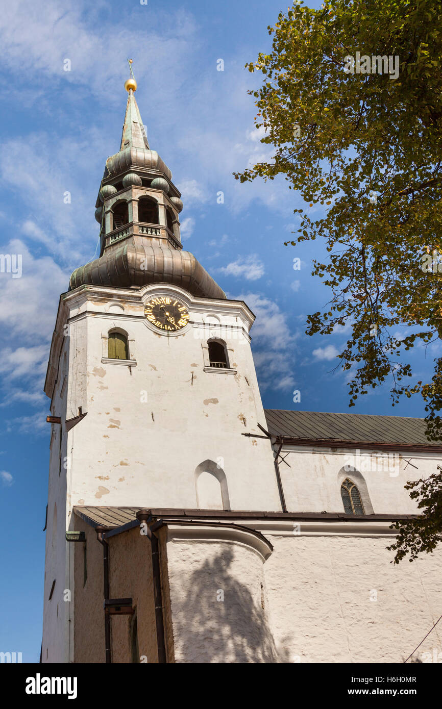 Cathédrale de Sainte Marie la Vierge, également connu sous le nom de l'Eglise du Dome, la colline de Toompea, Vieille Ville, Tallinn, Estonie Banque D'Images