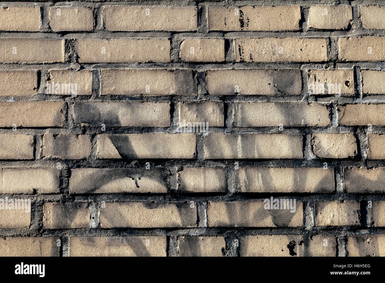 Modèle mur brique beige avec quelques bombes de peinture noire sur les grèves. Banque D'Images