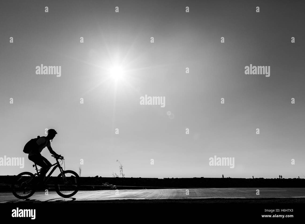 Silhouette d'un cycleur passant sur un sentier du parc sur une claire journée d'été, soleil de l'après-midi. Banque D'Images