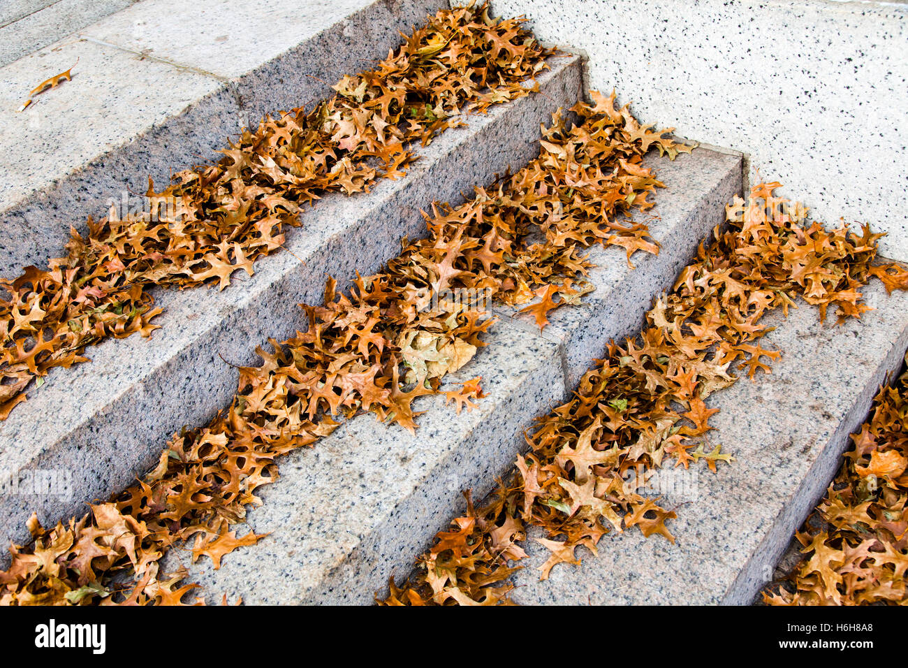 Des marches en pierre partiellement recouvert de feuilles sèches. Temps d'automne. Banque D'Images