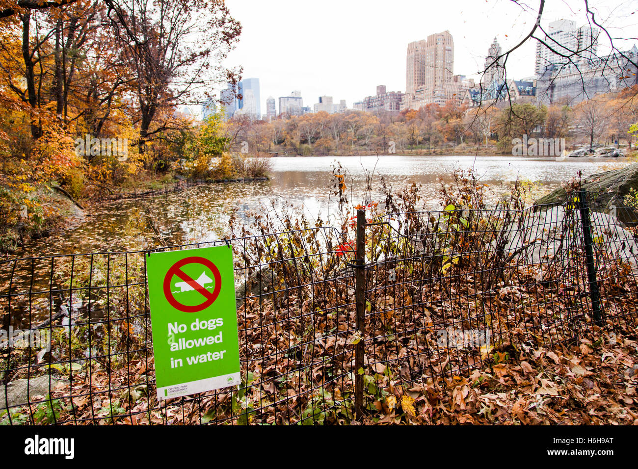 Signer sur une clôture de Central Park, à New-York, en disant que les chiens ne sont pas admis dans l'eau du lac. Banque D'Images