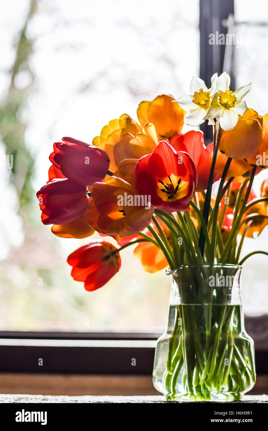 Bouquet de tulipes au printemps dans un vase par la fenêtre Banque D'Images