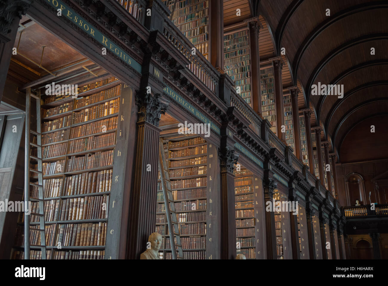 La célèbre vieille bibliothèque du Trinity College de Dublin, l'Université de Dublin, en République d'Irlande. Banque D'Images