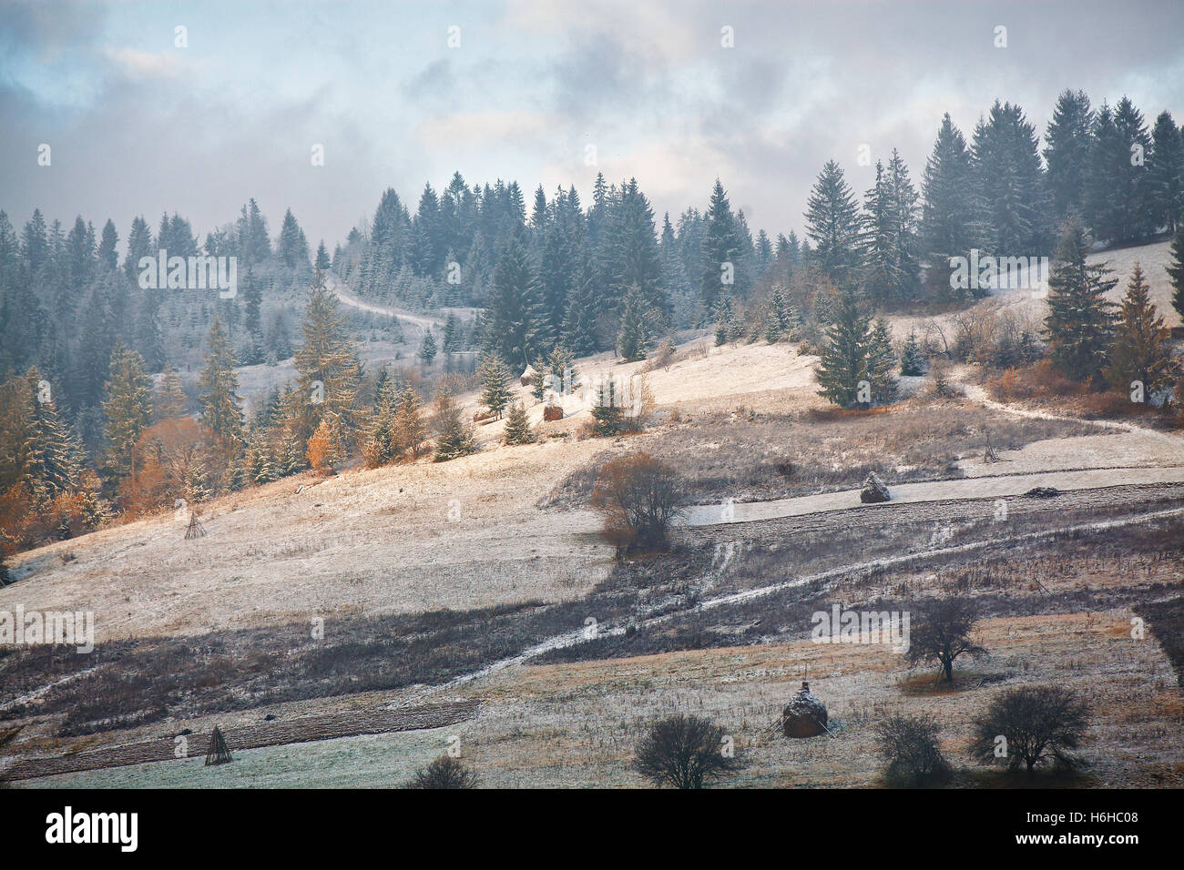 Première neige sur les montagnes des Carpates hills Banque D'Images