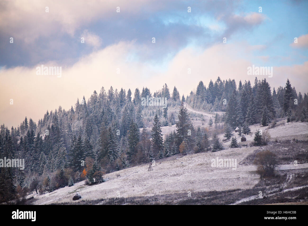 Première neige en automne. Neige dans les montagnes. Carpates Banque D'Images