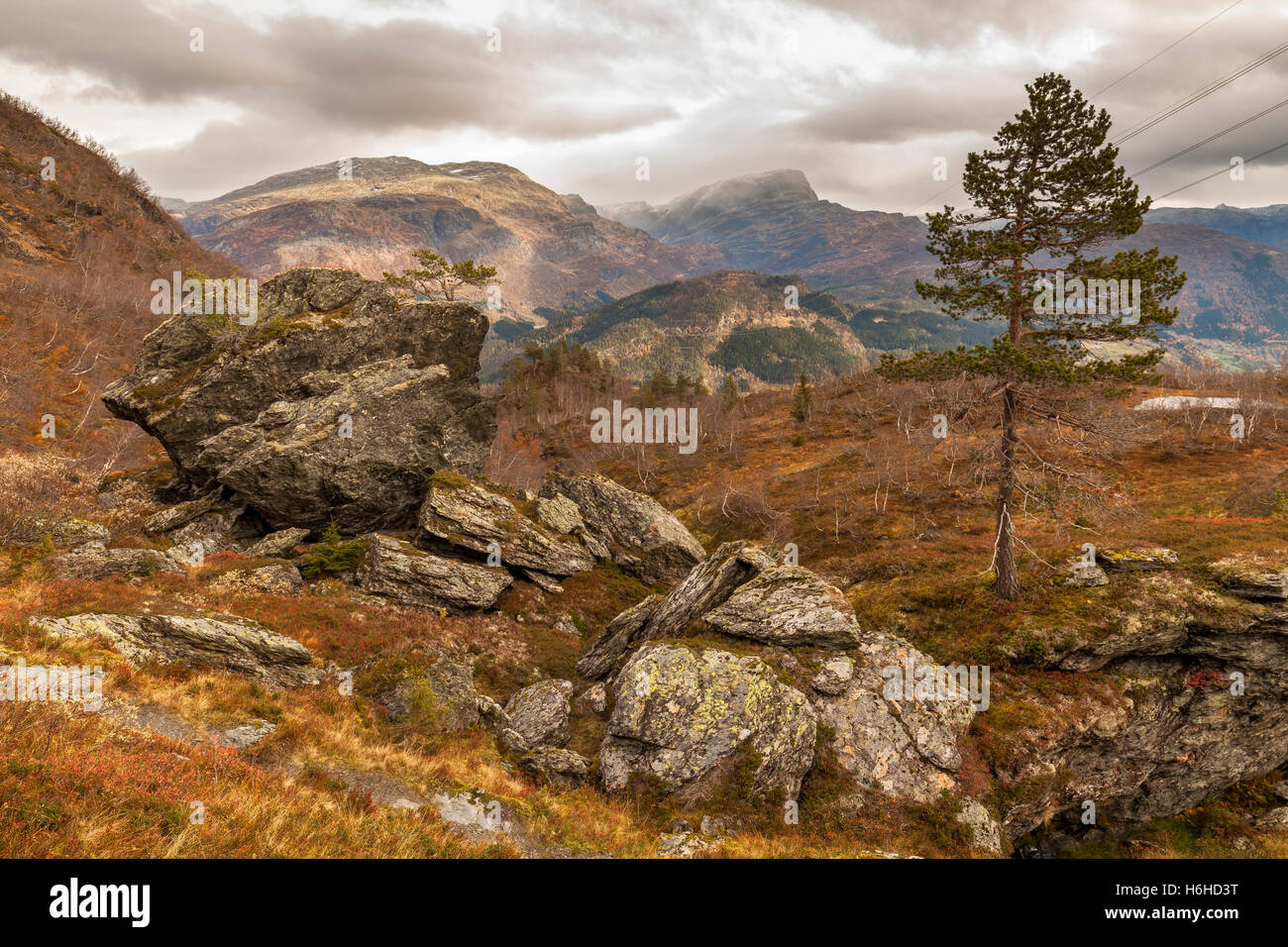 Voyage en montagne, Norvège Banque D'Images