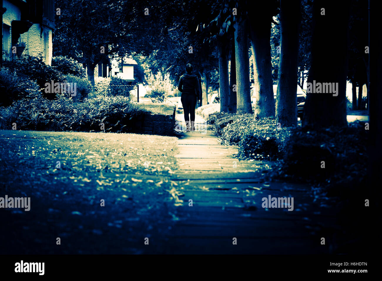 Ton Split image d'une fille de marcher seul dans une sombre, parsemé de feuilles, eerie, path. Banque D'Images