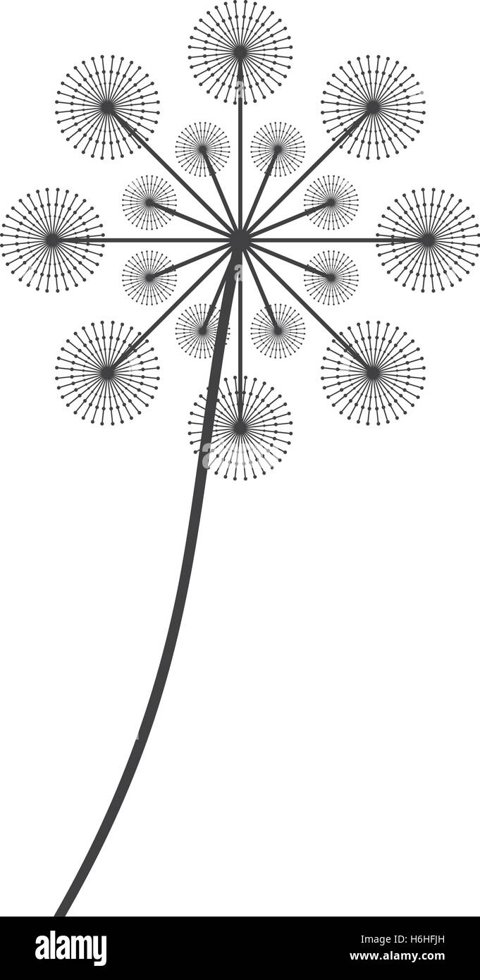 Décoration de graines de pissenlit vecteur icône illustration design Illustration de Vecteur