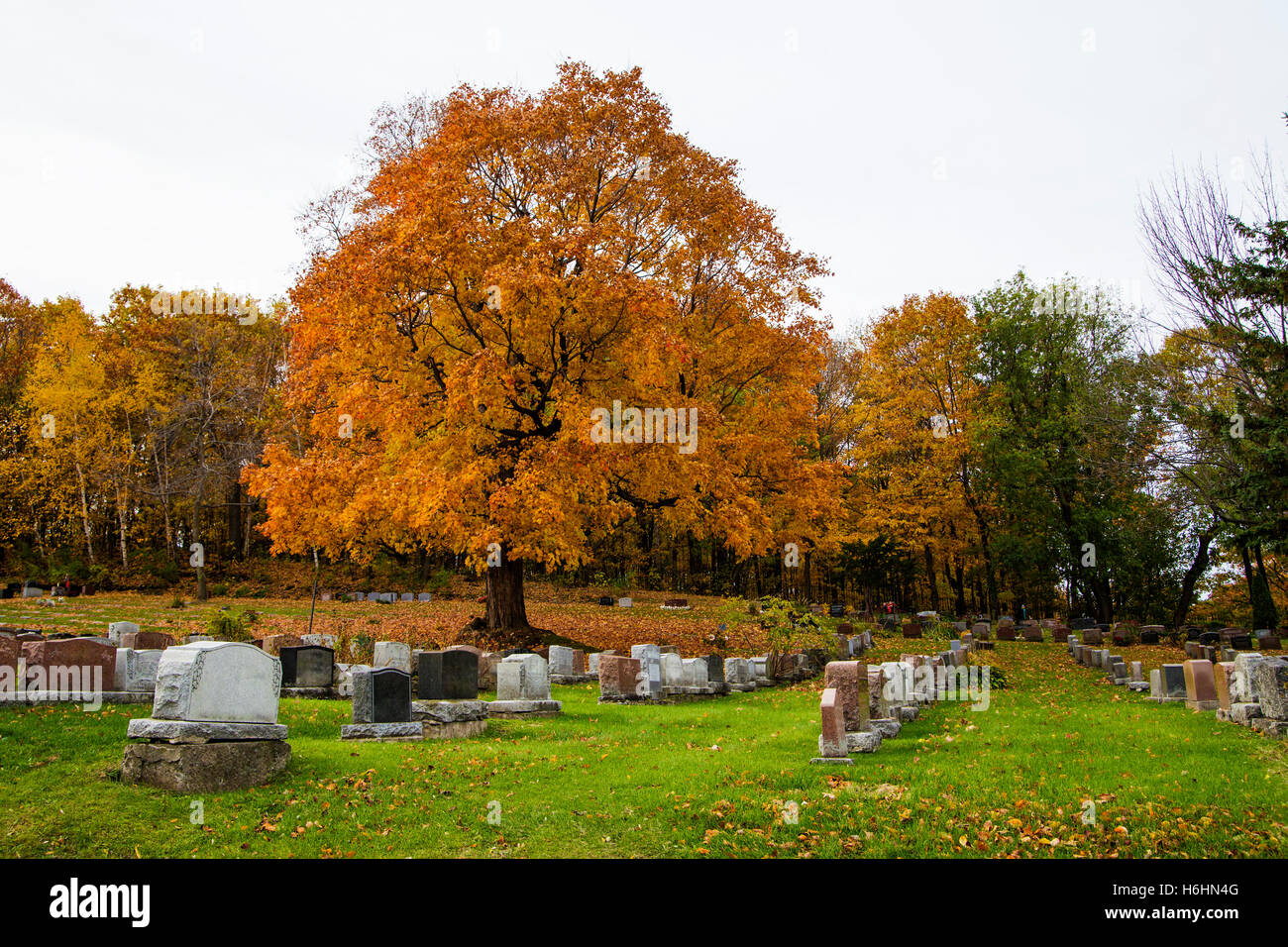 L'automne dans le cimetière Notre-Dame-des-Neiges, Montréal Banque D'Images