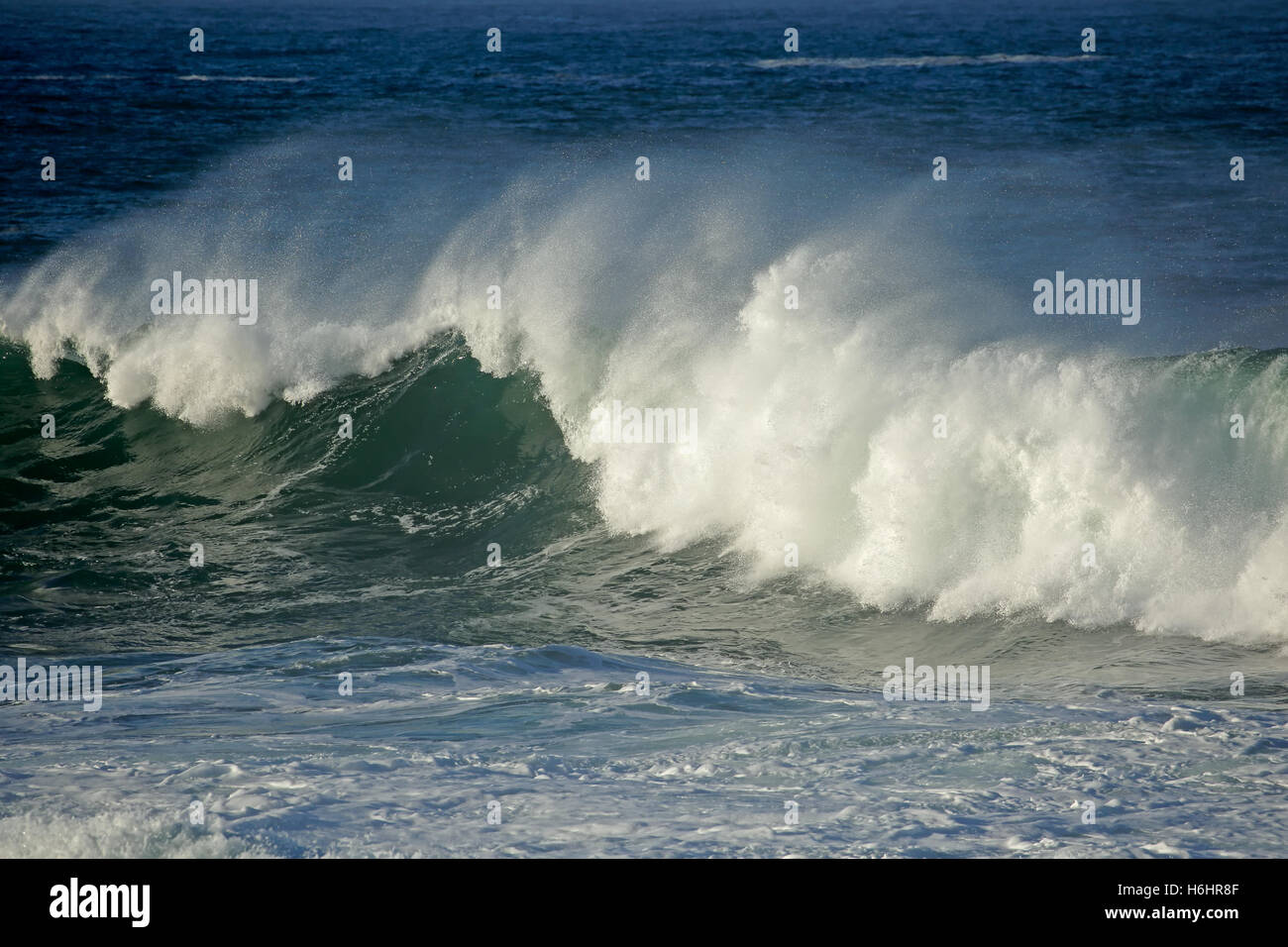 Seascape avec de grandes vagues de rupture et de l'eau pulvérisée Banque D'Images